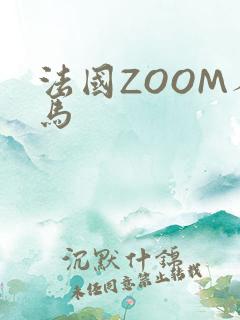 法国ZOOM人马