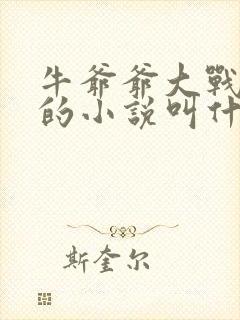 牛爷爷大战小丽的小说叫什么