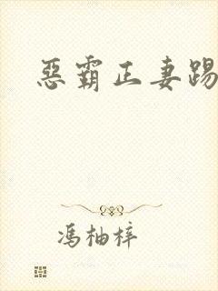 恶霸正妻踢娇妾
