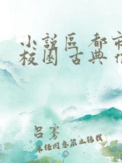 小说区 都市 校园 古典 偷拍