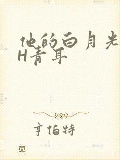 他的白月光HVH青耳