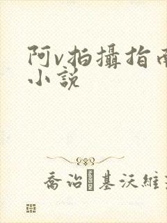 阿v拍摄指南说小说