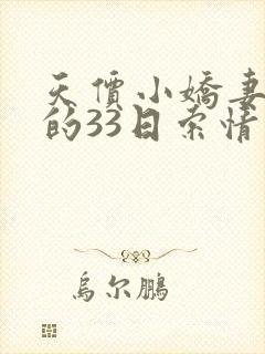 天价小娇妻总裁的33日索情
