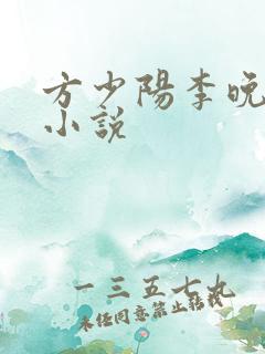 方少阳李晚晴的小说