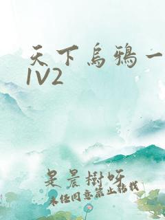 天下乌鸦一般黑1V2