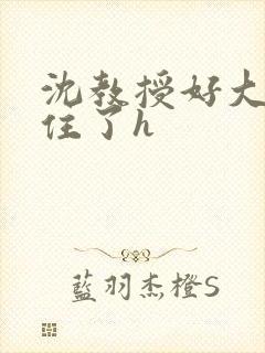 沈教授好大含不住了h