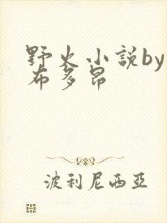 野火小说by夏布多昂