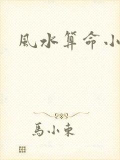 风水算命小说
