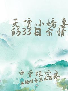 天价小娇妻总裁的33日索情