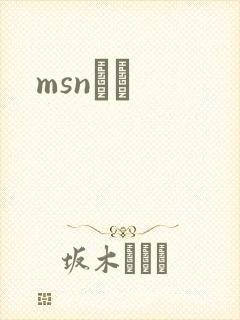 msnС˵
