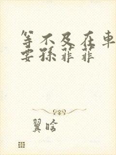 等不及在车里就要孙菲菲