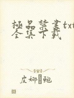 极品禁书txt全集下载