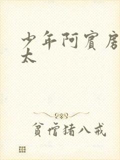 少年阿宾房东太太