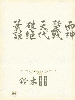 萧破天楚雨馨小说绝代战神