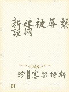 新娘被辱系列小说网