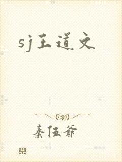 sj王道文