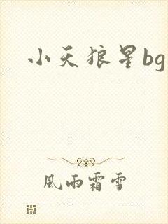 小天狼星bg