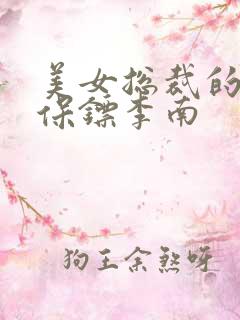 美女总裁的护花保镖李南