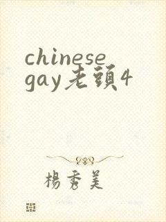 chinesegay老头4
