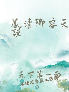 凤清卿容天凌小说
