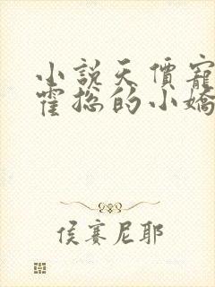 小说天价宠妻:霍总的小娇妻