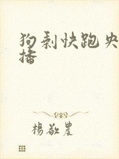 狗剩快跑央八首播