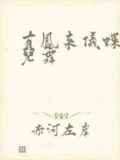 有凤来仪蝶儿蝶儿舞