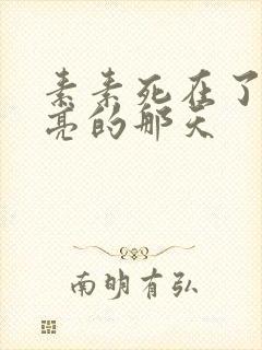 素素死在了最漂亮的那天