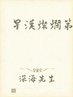 星汉灿烂第二部