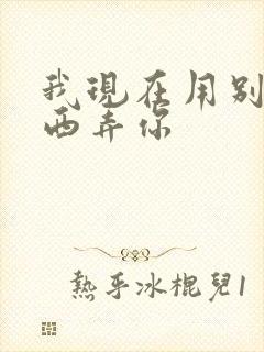 我现在用别的东西弄你