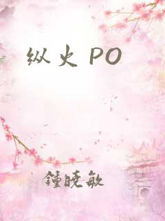 纵火 PO
