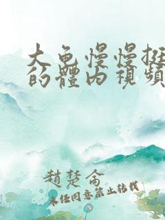 大龟慢慢挺进我的体内视频