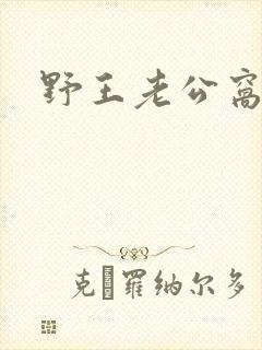 野王老公窝