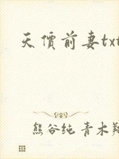 天价前妻txt