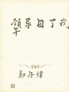 领导日了我一下午
