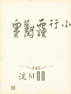 向风而行小说免费阅读