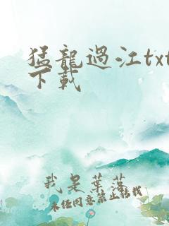 猛龙过江txt下载