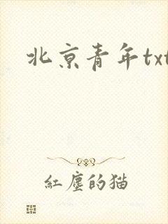 北京青年txt