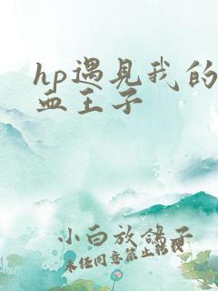 hp遇见我的混血王子