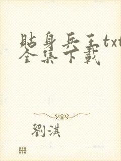 贴身兵王txt全集下载