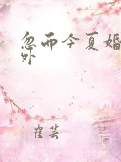 忽而今夏婚后番外