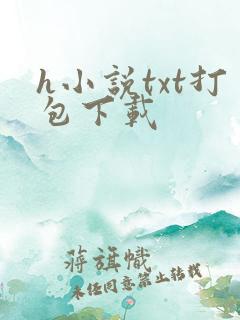 h小说txt打包下载