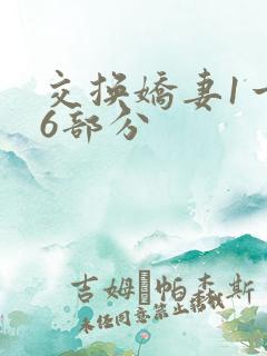 交换娇妻1一36部分