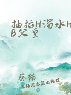 抽插H浊水H嫩B父皇