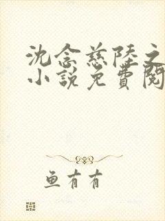 沈念慈陆之天的小说免费阅读