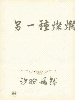 另一种灿烂生活