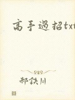 高手过招txt
