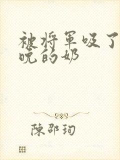 被将军吸了一整晚的奶