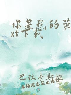 你是我的荣耀txt下载