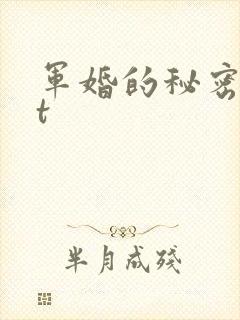 军婚的秘密txt